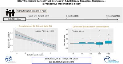 SGLT2 Inhibitors Correct Fluid Overload in Adult Kidney Transplant Recipients—A Prospective Observational Study